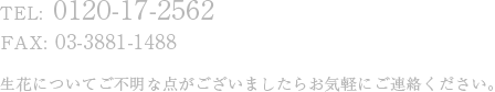 お気軽のお問い合わせください。